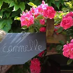 La Chouanniere 3* Les Bois-d'Anjou