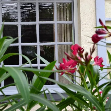 La Chouanniere 3* Les Bois-d'Anjou