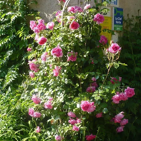La Chouanniere 3*