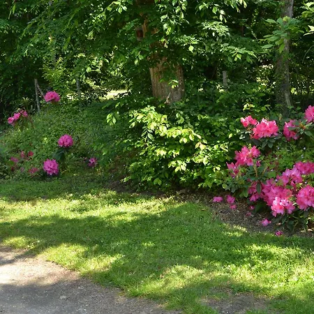 La Chouanniere לינה וארוחת בוקר Les Bois-d'Anjou