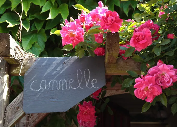 La Chouanniere 3* Les Bois-d'Anjou