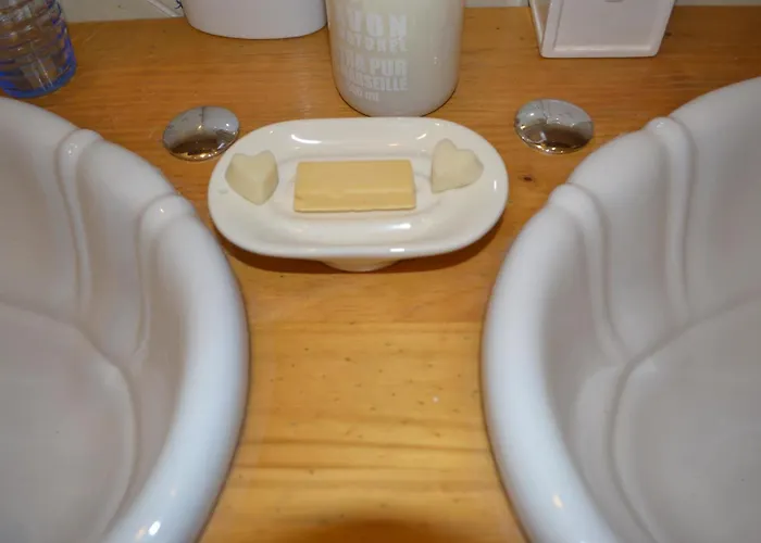 Bed & Breakfast La Chouanniere Les Bois-d'Anjou