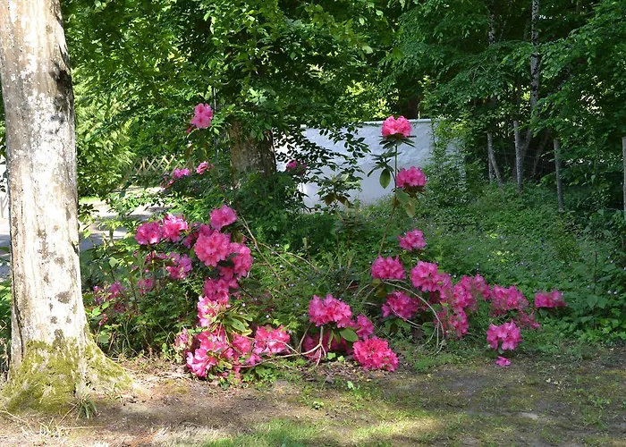 La Chouanniere Bed & Breakfast Les Bois-d'Anjou