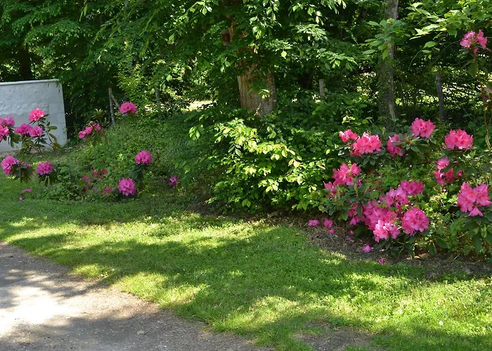 La Chouanniere Bed & Breakfast Les Bois-d'Anjou