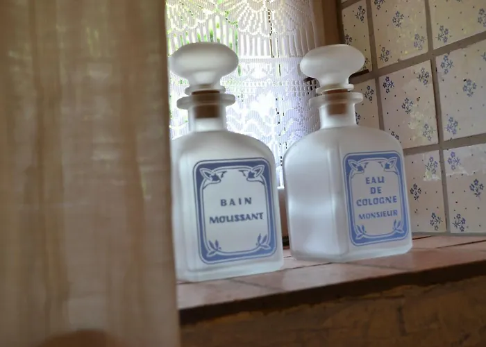 La Chouanniere 3* Les Bois-d'Anjou